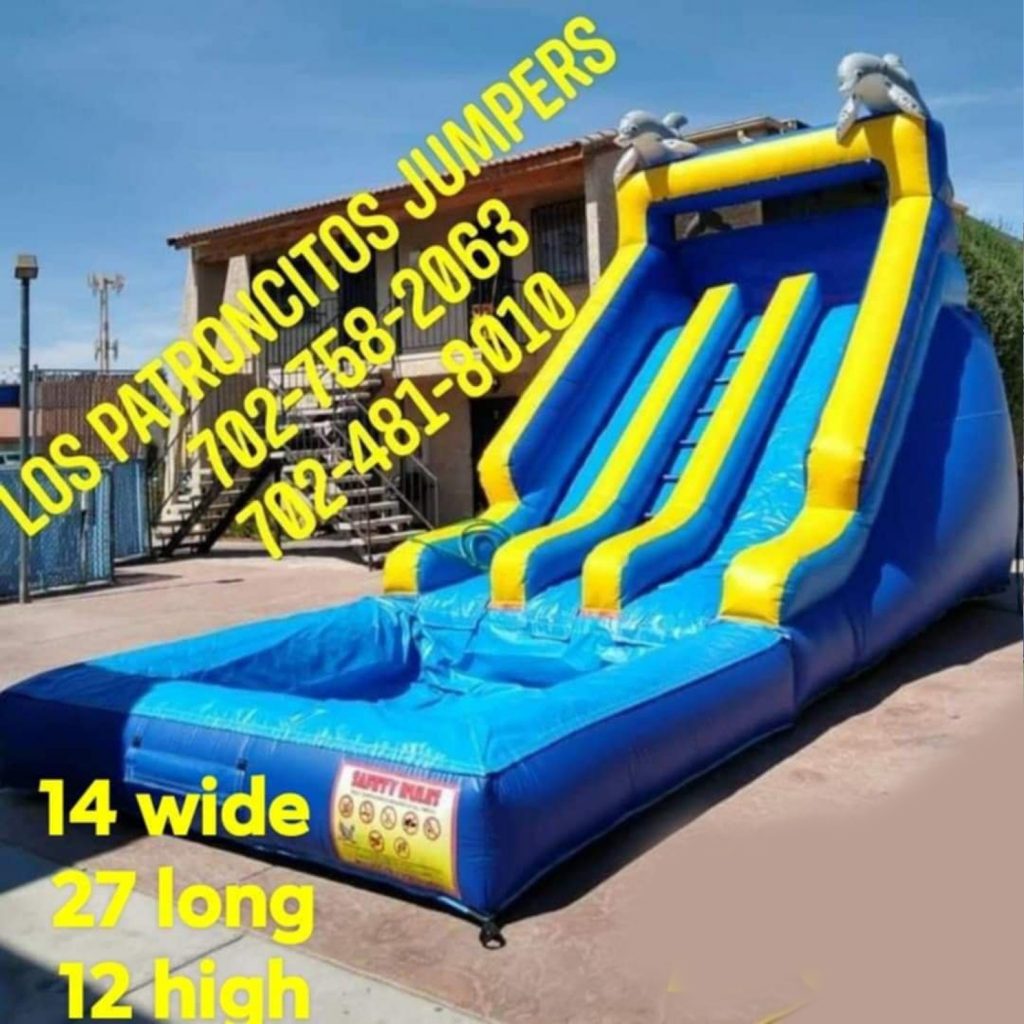 Water Slide Dolphin