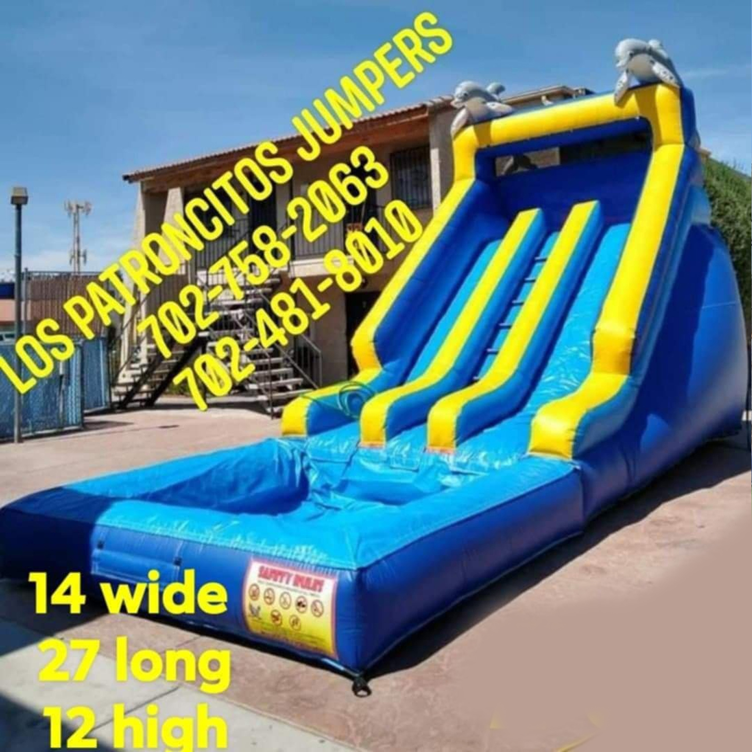 Water Slide Dolphin